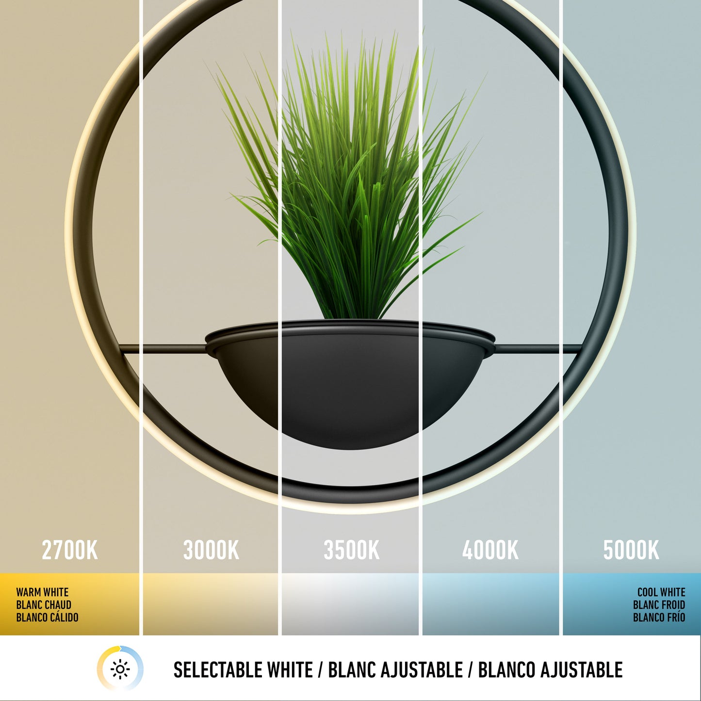 Colin LED modern planter pendant light 5 CCT