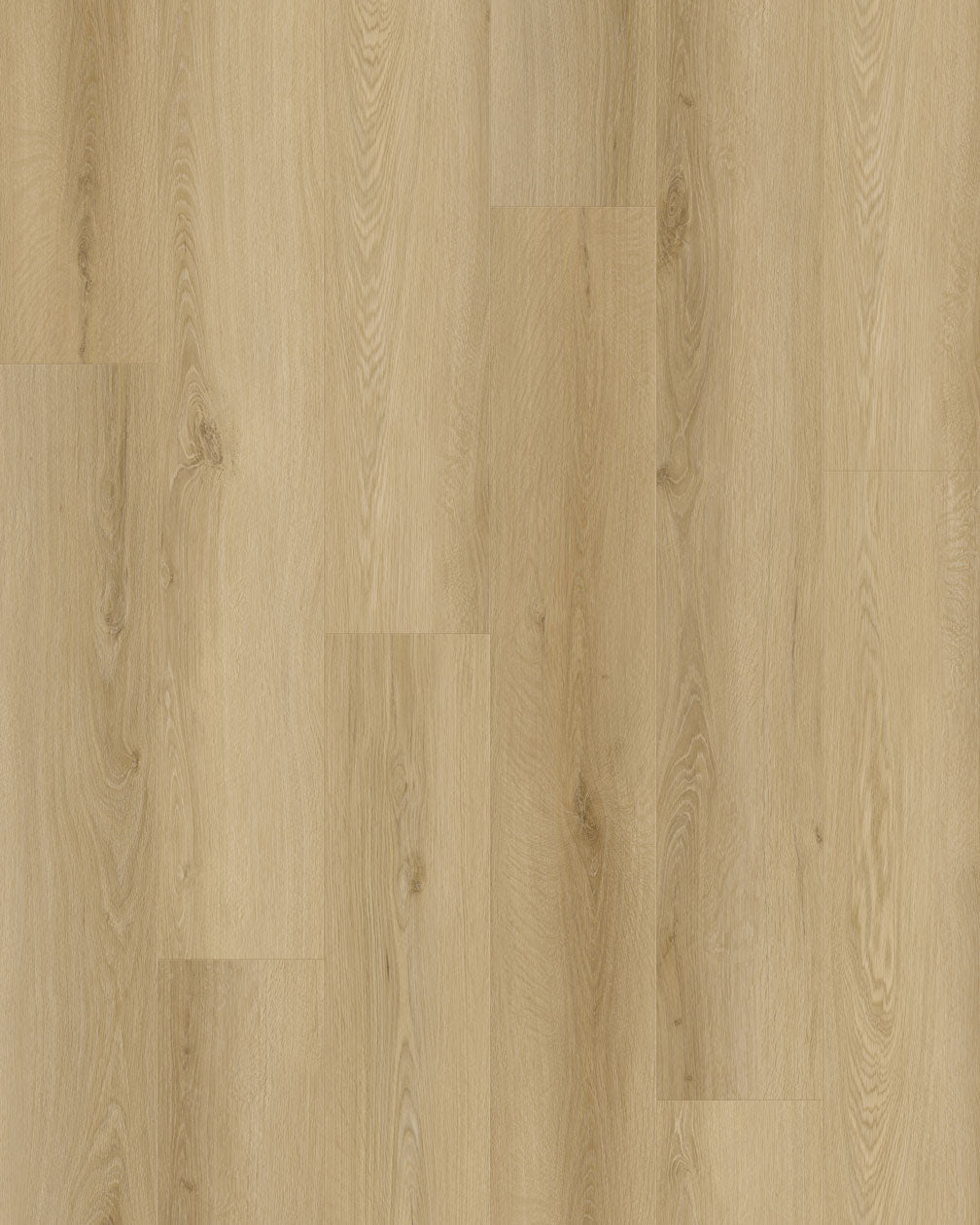 Brandberg 9" Width X 60" Length