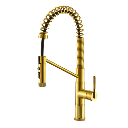 Nette Single-Handle Kitchen Faucet with Pull Down Sprayer