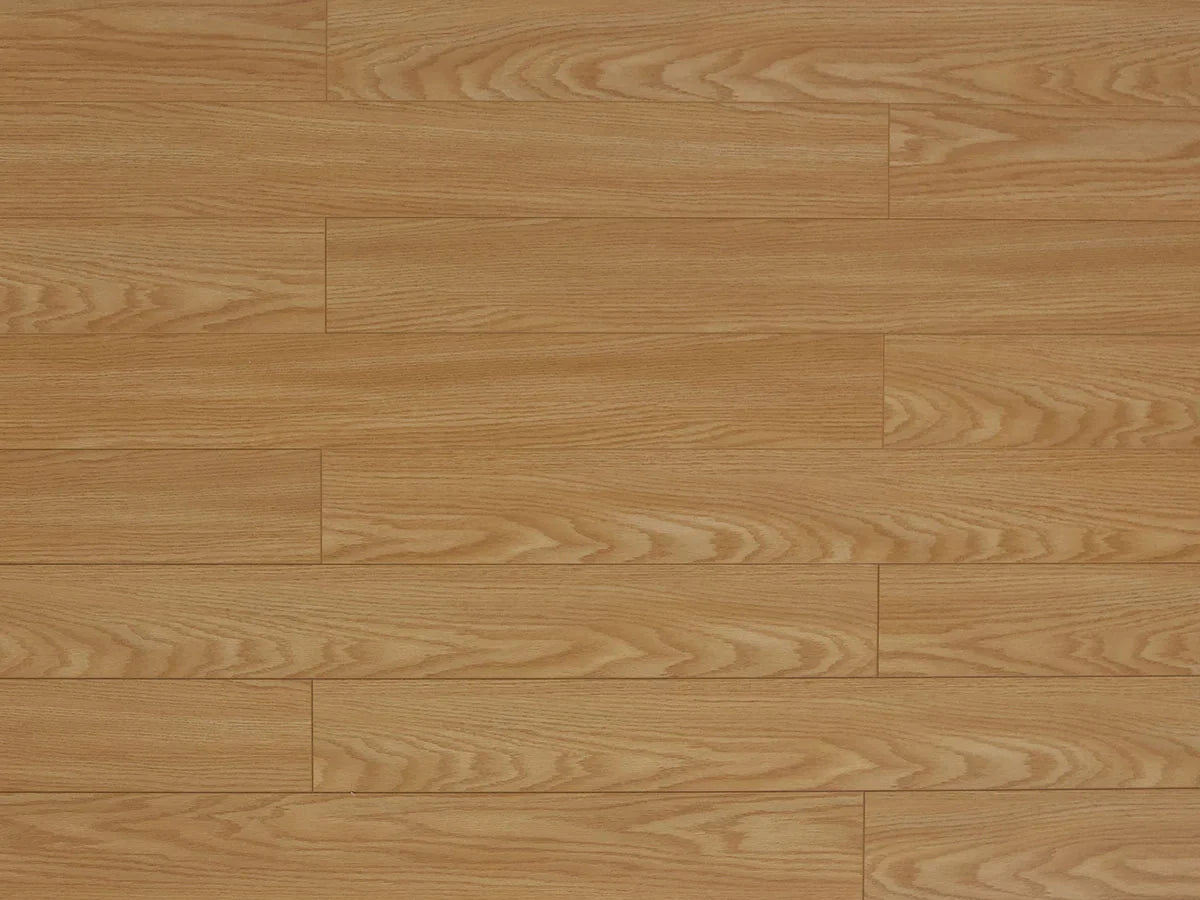TF1123-F | Nature Lite