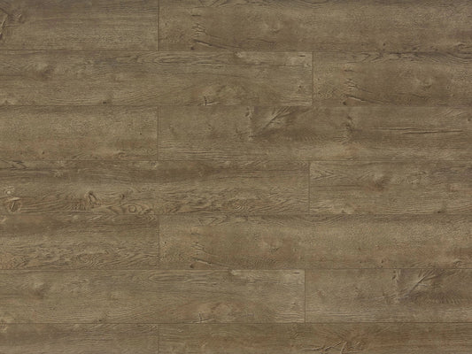 TF6009-F | Barcelona