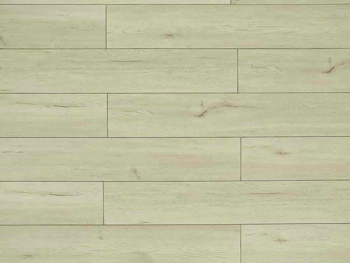 TF6203-F | Fraser