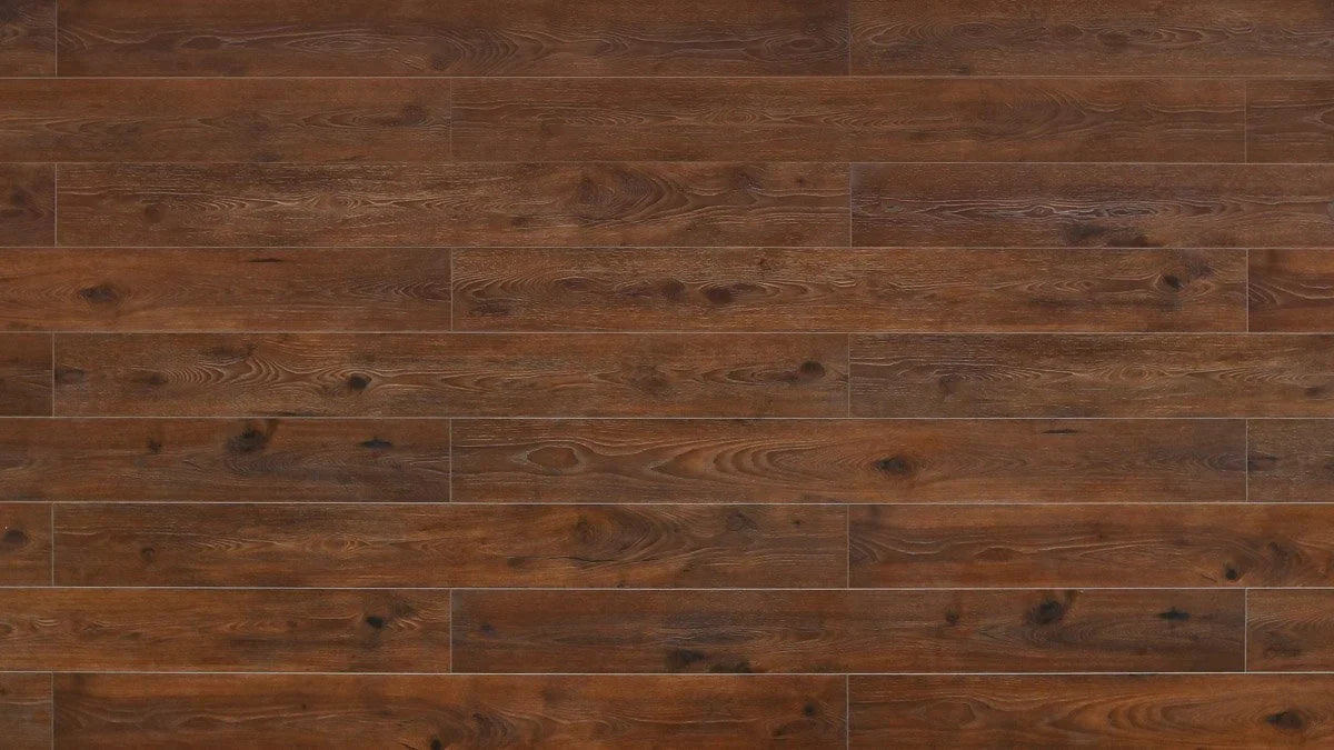 TF8001 | Umber