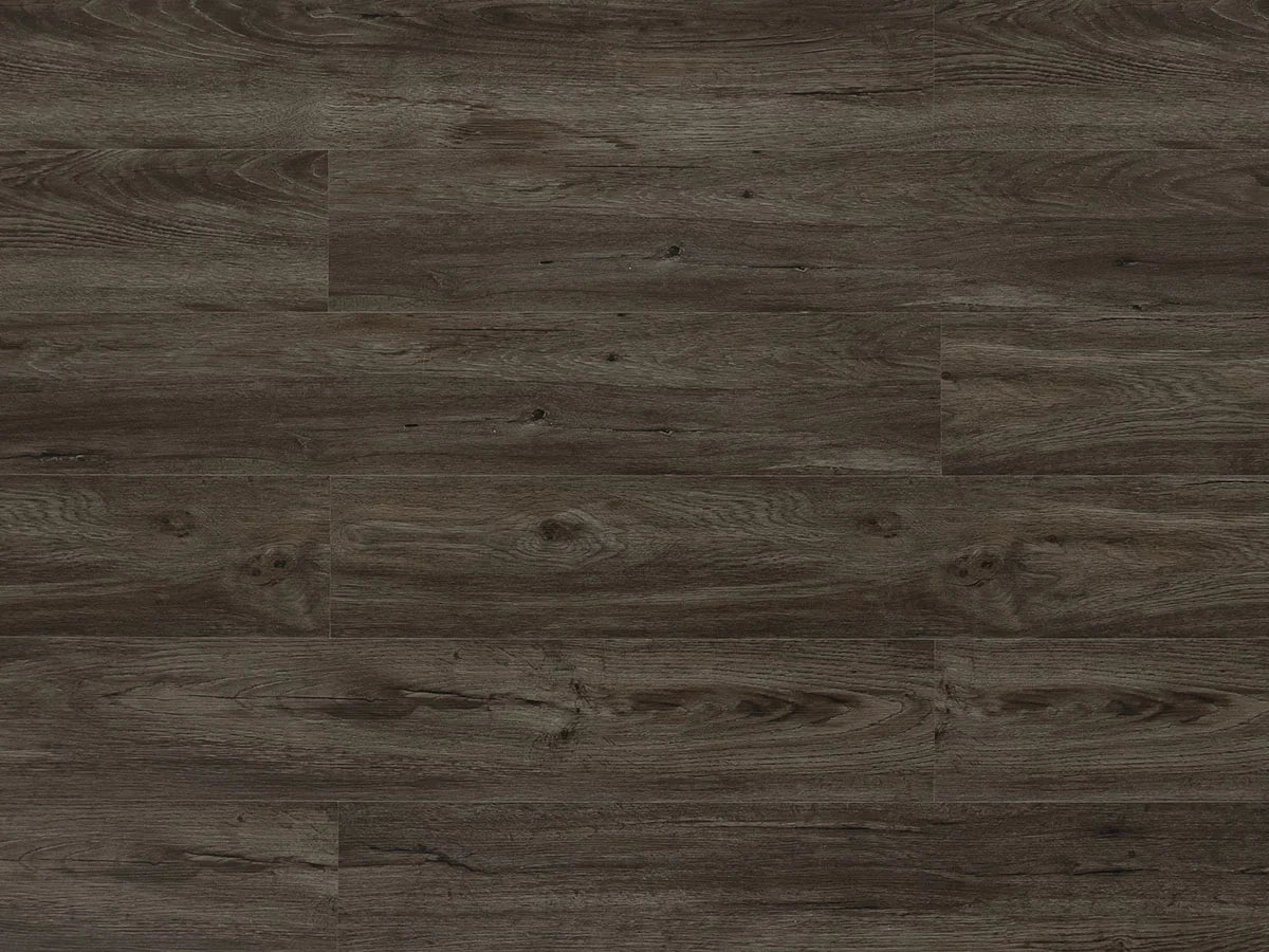TFSPC301-F | Black Forest