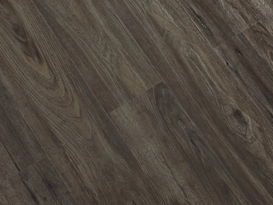 TFSPC301-F | Black Forest