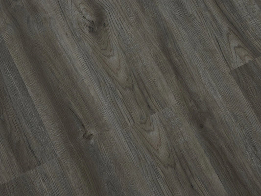 TFSPC303-F | Orchestra