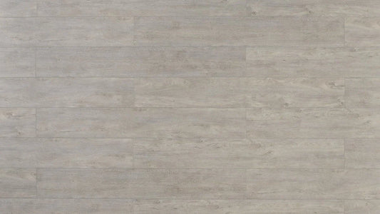 TFSPC404-F | Hedgehog