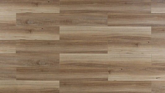 TFSPC409-F | Biscotti