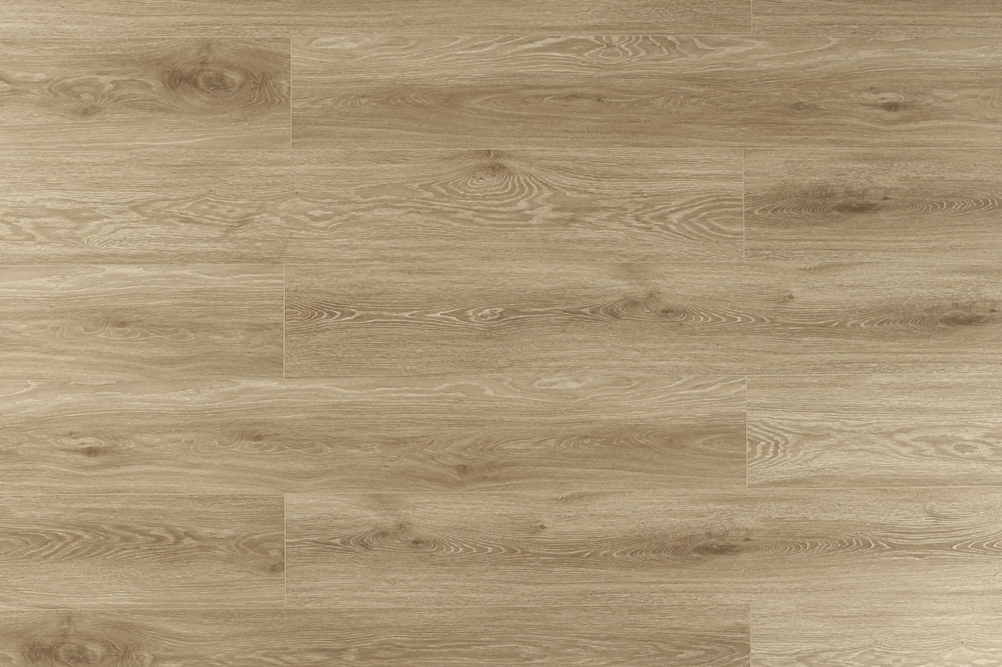 TFSPC506-F | Fawn