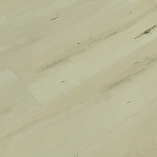 TFSPC612-F | Belgrade