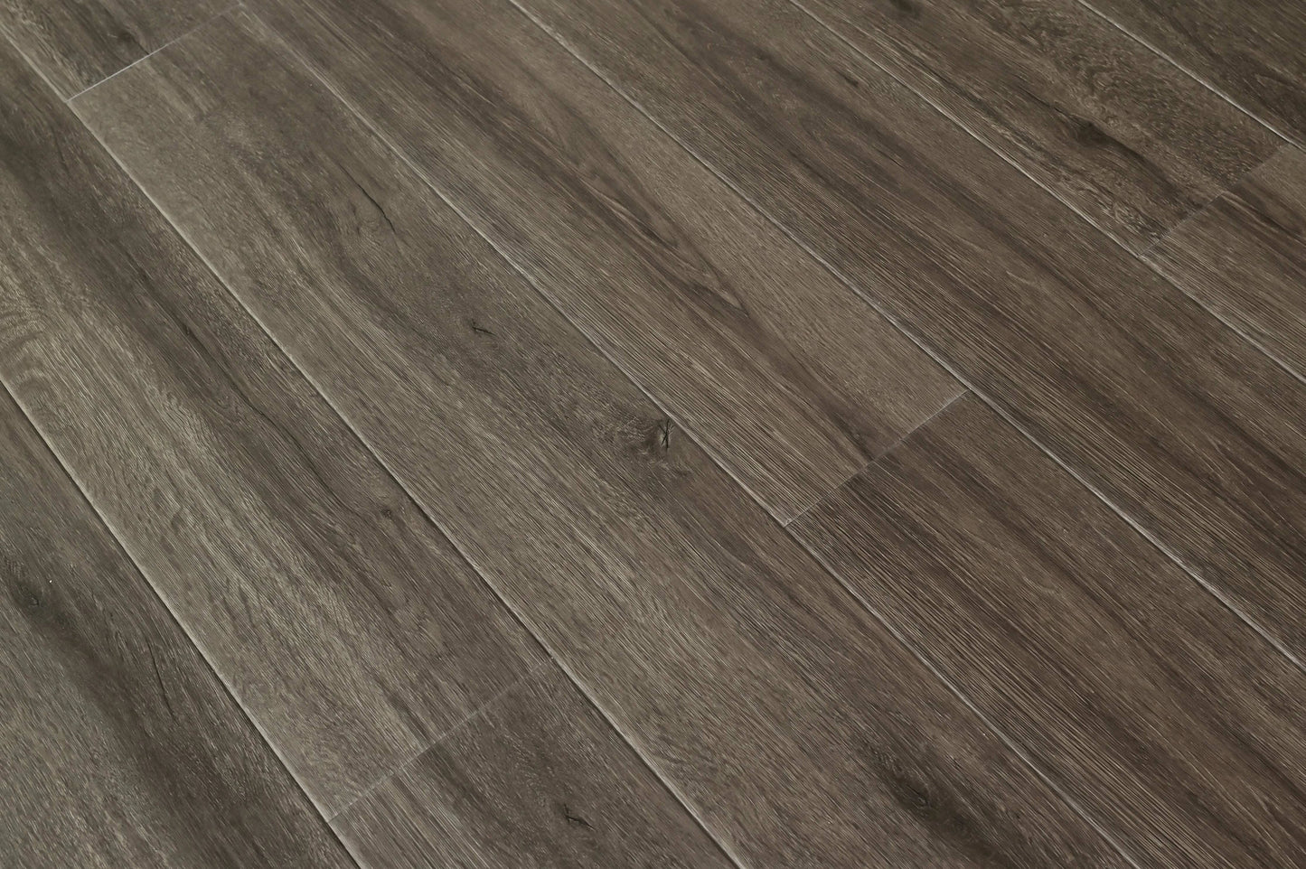 TFSPC902 | Cocoa