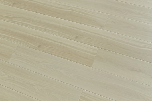 TFSPC912 | Windstorm