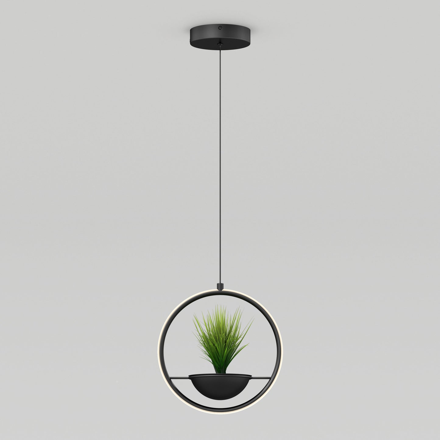 Colin LED modern planter pendant light 5 CCT