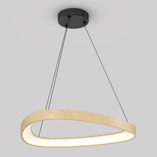 Bjorn modern LED pendant light 5 CCT