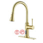 Smart Voice-Controlled Kitchen Faucet with Pull Down Sprayer and Touchless Technology
