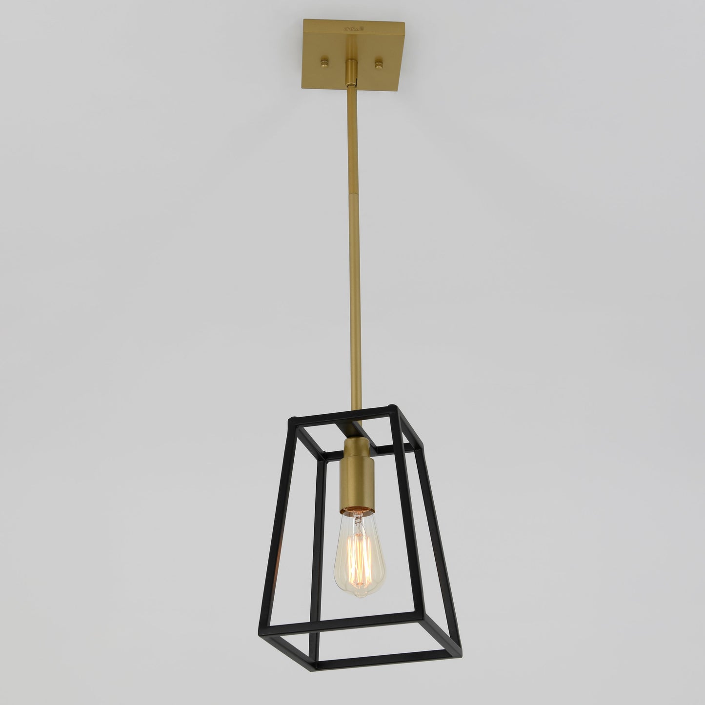 Carter 1-light pendant