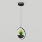 Colin LED modern planter pendant light 5 CCT
