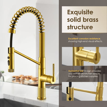 Nette Single-Handle Kitchen Faucet with Pull Down Sprayer