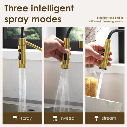 Nette Single-Handle Kitchen Faucet with Pull Down Sprayer
