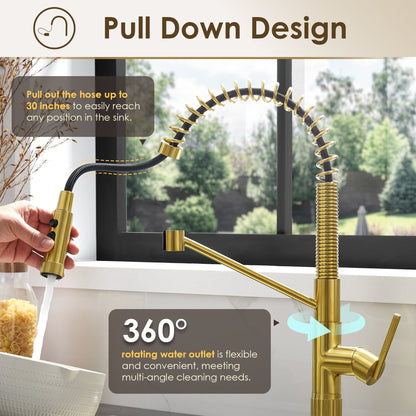 Nette Single-Handle Kitchen Faucet with Pull Down Sprayer
