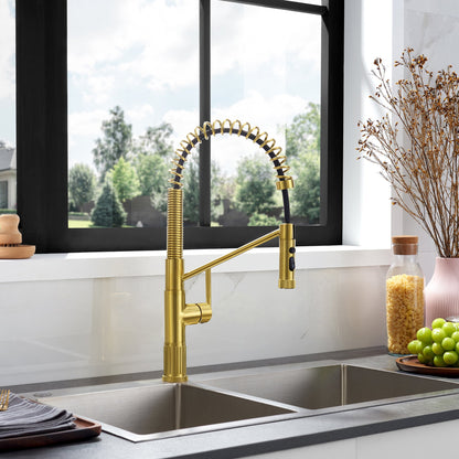 Nette Single-Handle Kitchen Faucet with Pull Down Sprayer