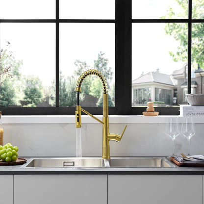 Nette Single-Handle Kitchen Faucet with Pull Down Sprayer