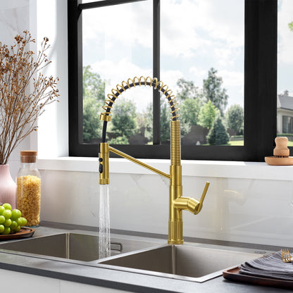 Nette Single-Handle Kitchen Faucet with Pull Down Sprayer
