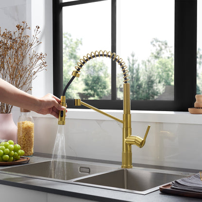 Nette Single-Handle Kitchen Faucet with Pull Down Sprayer