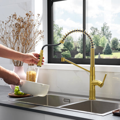 Nette Single-Handle Kitchen Faucet with Pull Down Sprayer