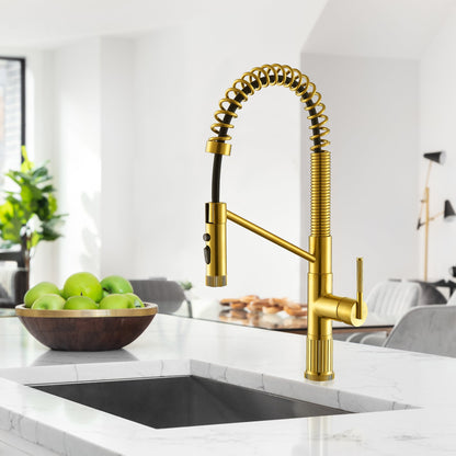 Nette Single-Handle Kitchen Faucet with Pull Down Sprayer