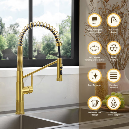 Nette Single-Handle Kitchen Faucet with Pull Down Sprayer