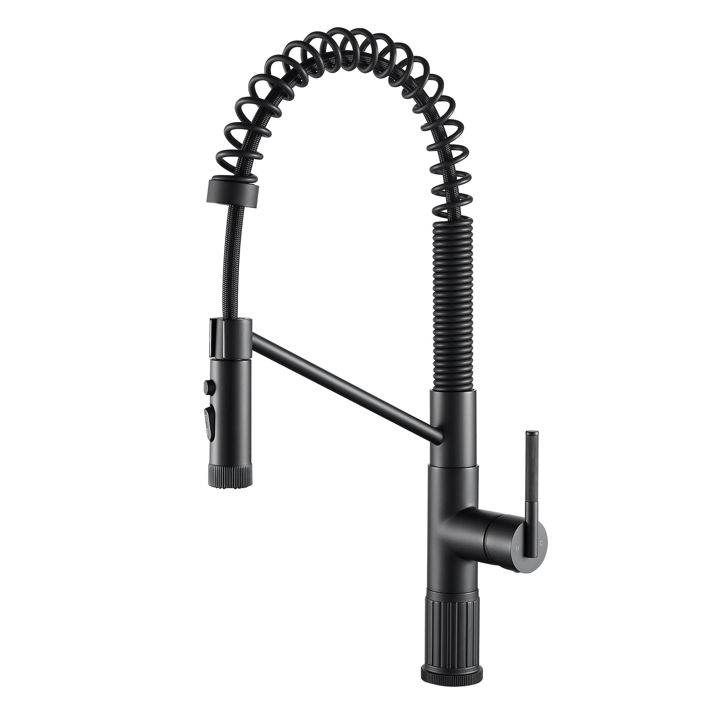 Nette Single-Handle Kitchen Faucet with Pull Down Sprayer