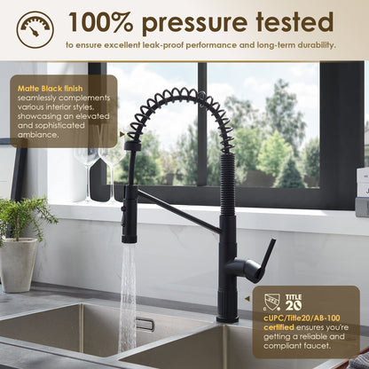 Nette Single-Handle Kitchen Faucet with Pull Down Sprayer