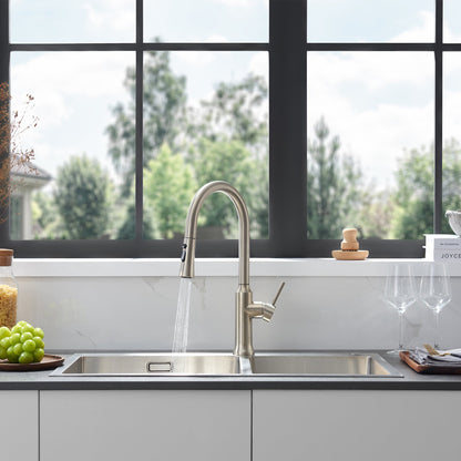 Oribe Single-Handle Kitchen Faucet with Pull Down Sprayer
