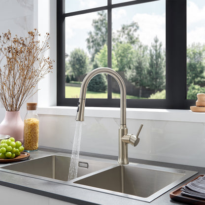 Oribe Single-Handle Kitchen Faucet with Pull Down Sprayer