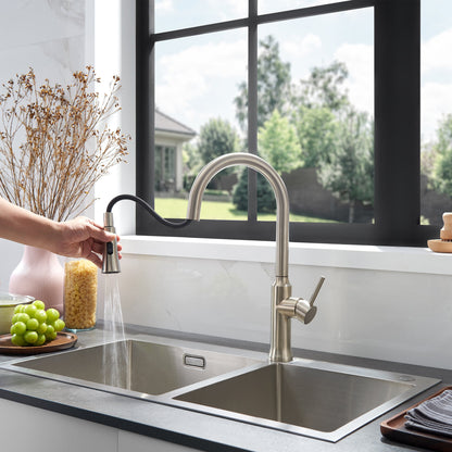 Oribe Single-Handle Kitchen Faucet with Pull Down Sprayer