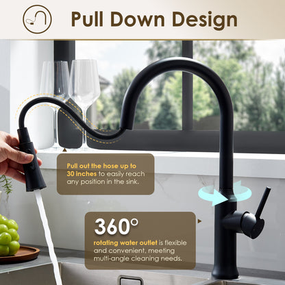 Oribe Single-Handle Kitchen Faucet with Pull Down Sprayer