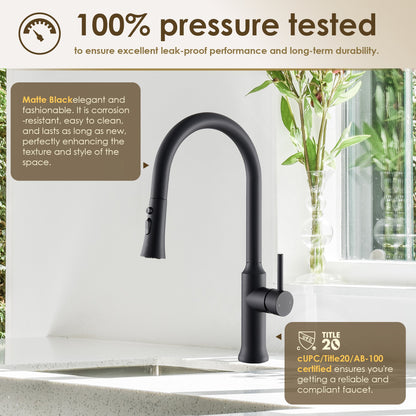 Oribe Single-Handle Kitchen Faucet with Pull Down Sprayer