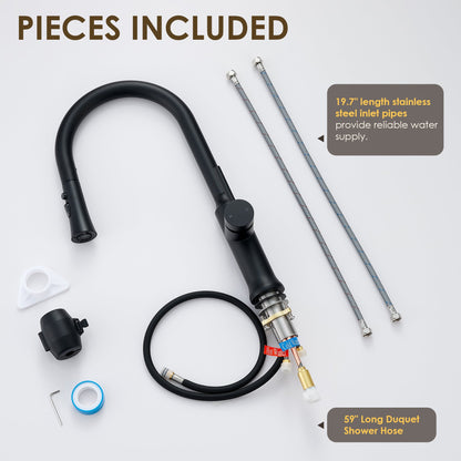 Oribe Single-Handle Kitchen Faucet with Pull Down Sprayer