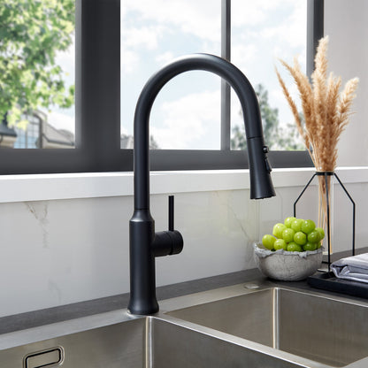 Oribe Single-Handle Kitchen Faucet with Pull Down Sprayer