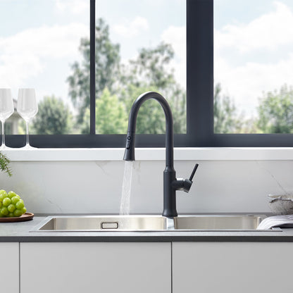 Oribe Single-Handle Kitchen Faucet with Pull Down Sprayer