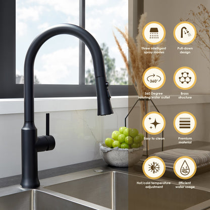 Oribe Single-Handle Kitchen Faucet with Pull Down Sprayer