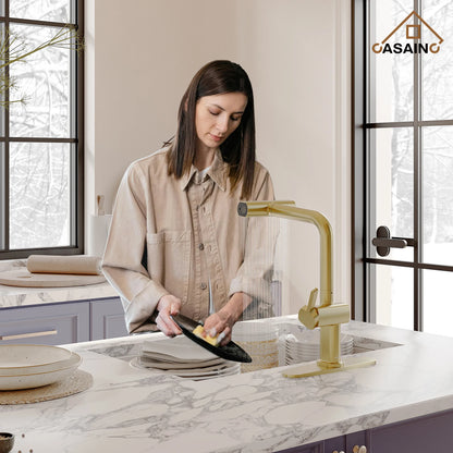 Single Handle Pull-Out Kitchen Faucet with 3 Functions Spray
