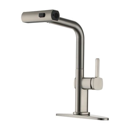 Single Handle Pull-Out Kitchen Faucet with 3 Functions Spray