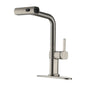 Single Handle Pull-Out Kitchen Faucet with 3 Functions Spray