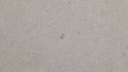 Fossil Gray ( Quartz | Polished & Matte - Per Sq.Ft ) | Made in India