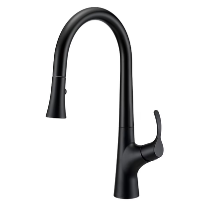 Single Handle Pull-Down Kitchen Faucet
