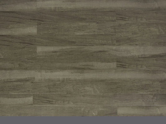 TF2501 | Nordic Grey