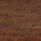 TF8001 | Umber