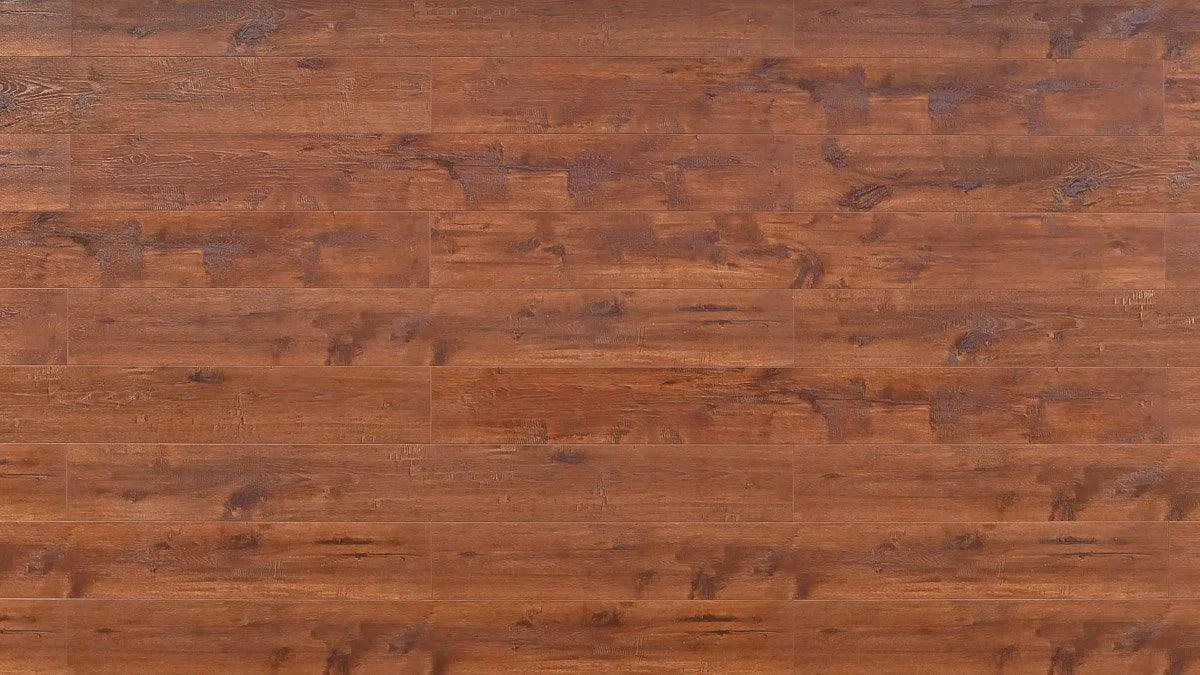TF8005 | Terracotta